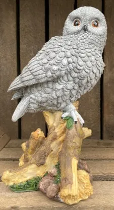 Snowy Owl