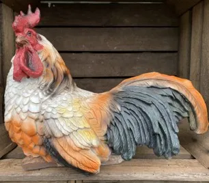 Vibrant cockerel - sitting