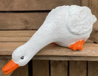 Duchess the drinking duck