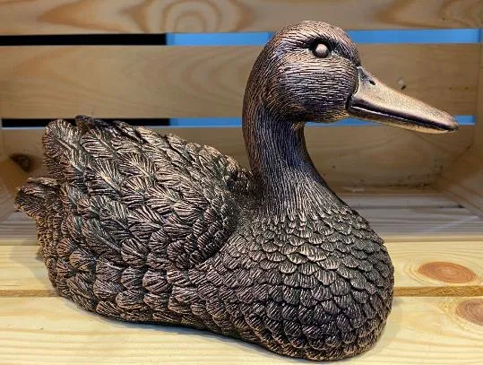 Bronze duck flat tail