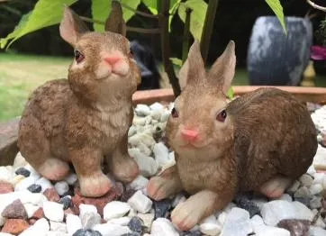 Bert and Gert Rabbits