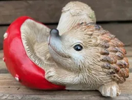 Adorable Hedgehog