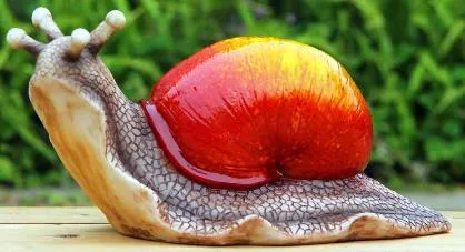 Glorious snail