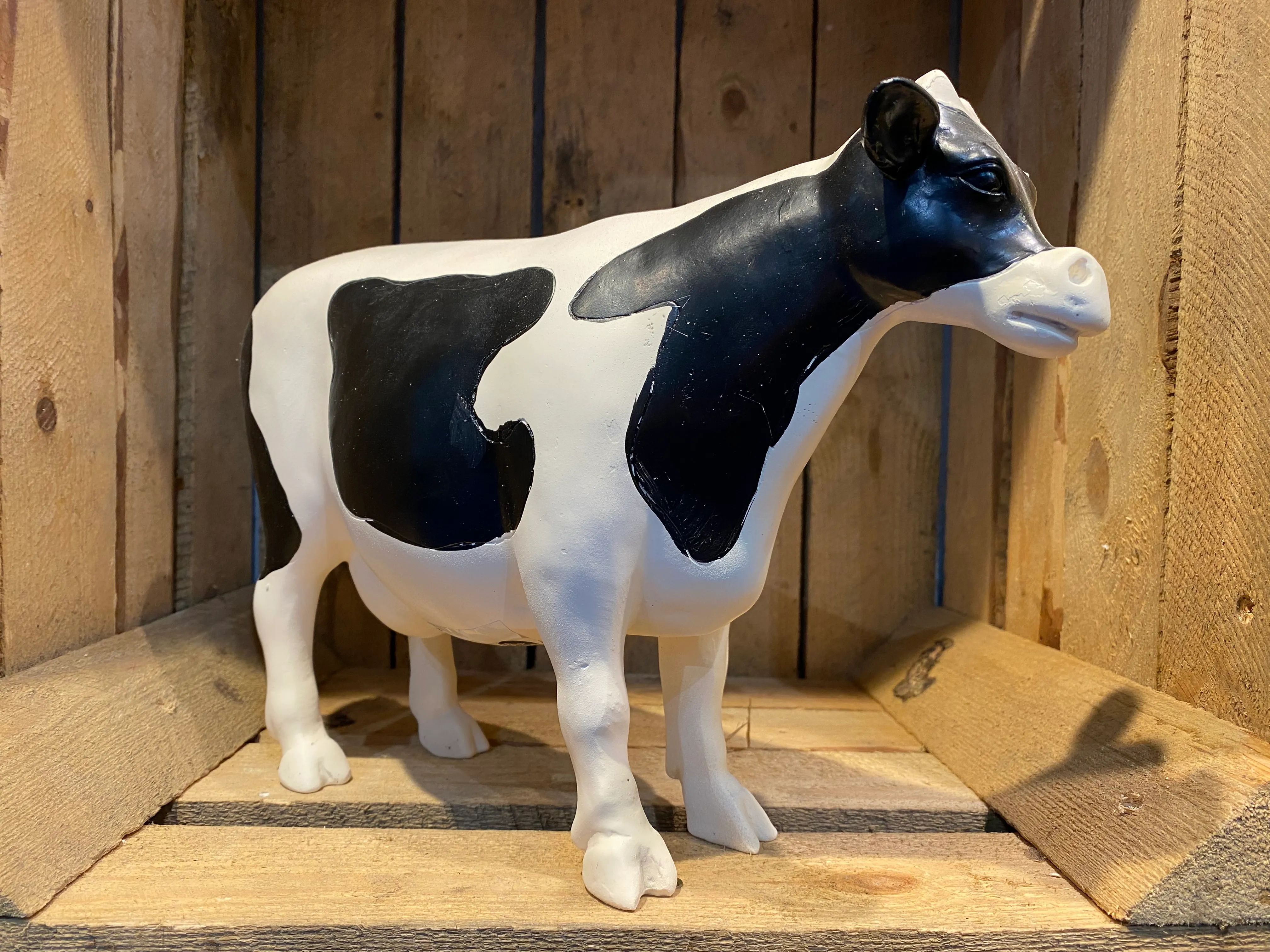 Black & white cow - forward