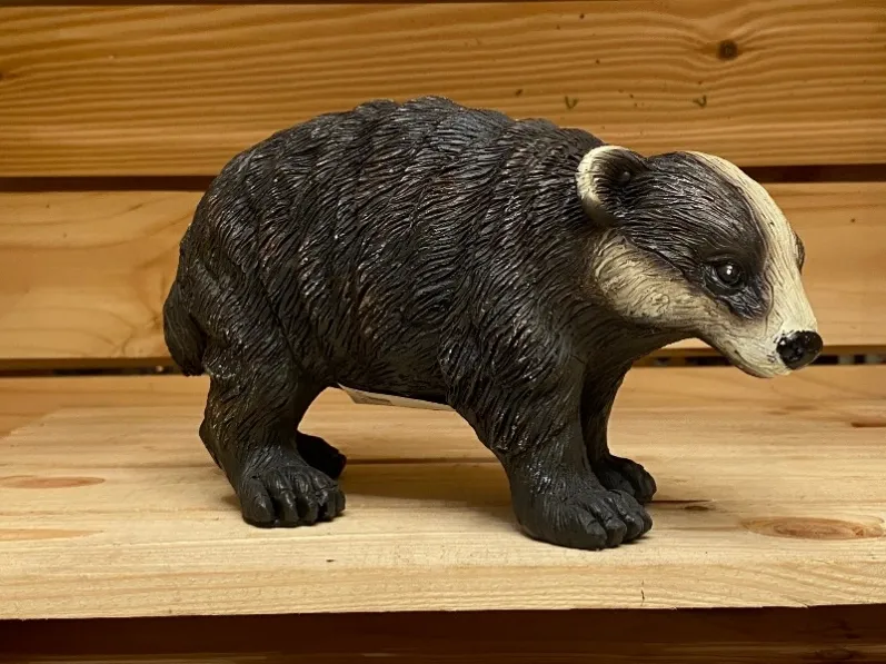 Medium Badger Cub