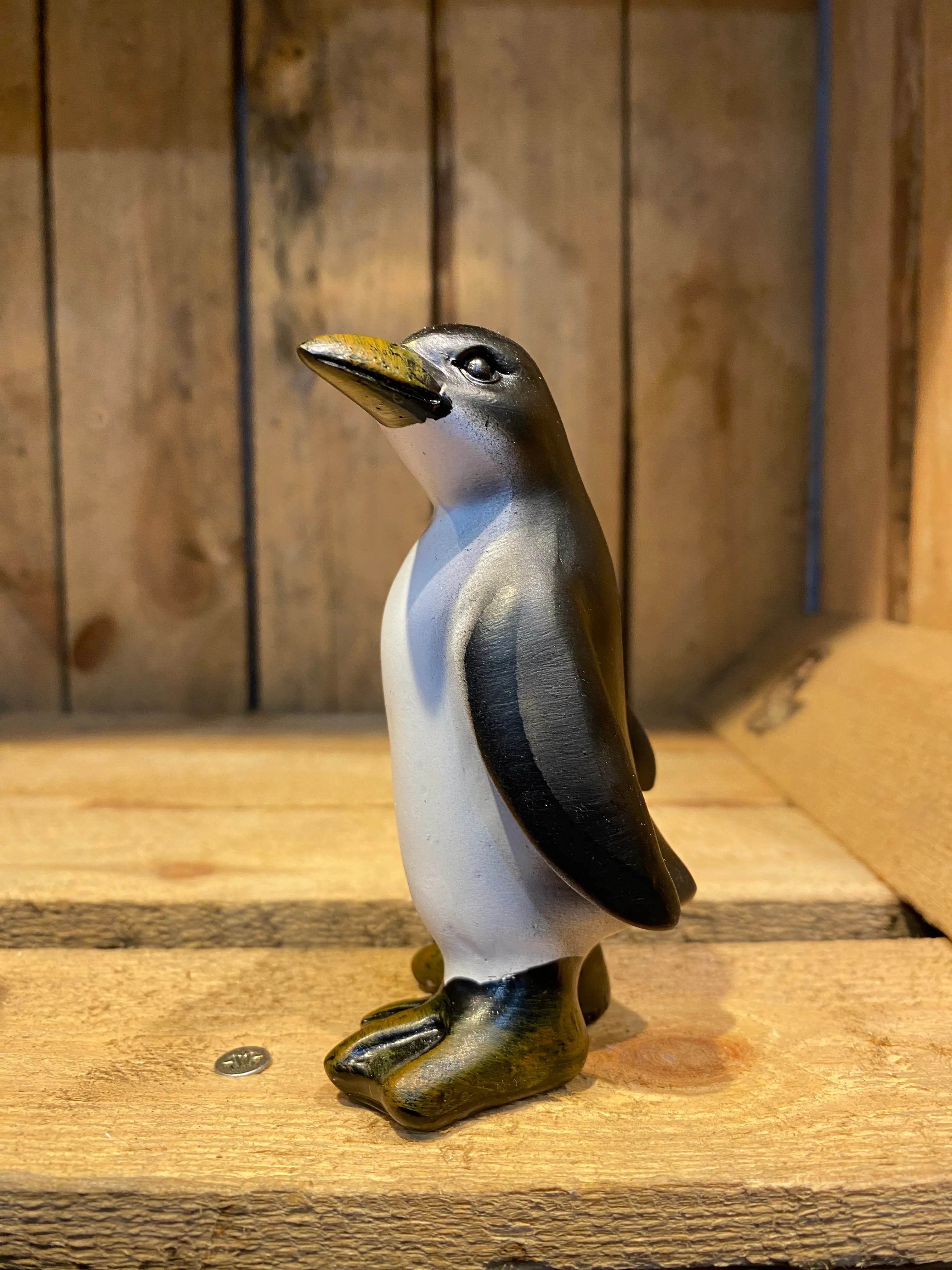 Miniature Cheeky Penguin side