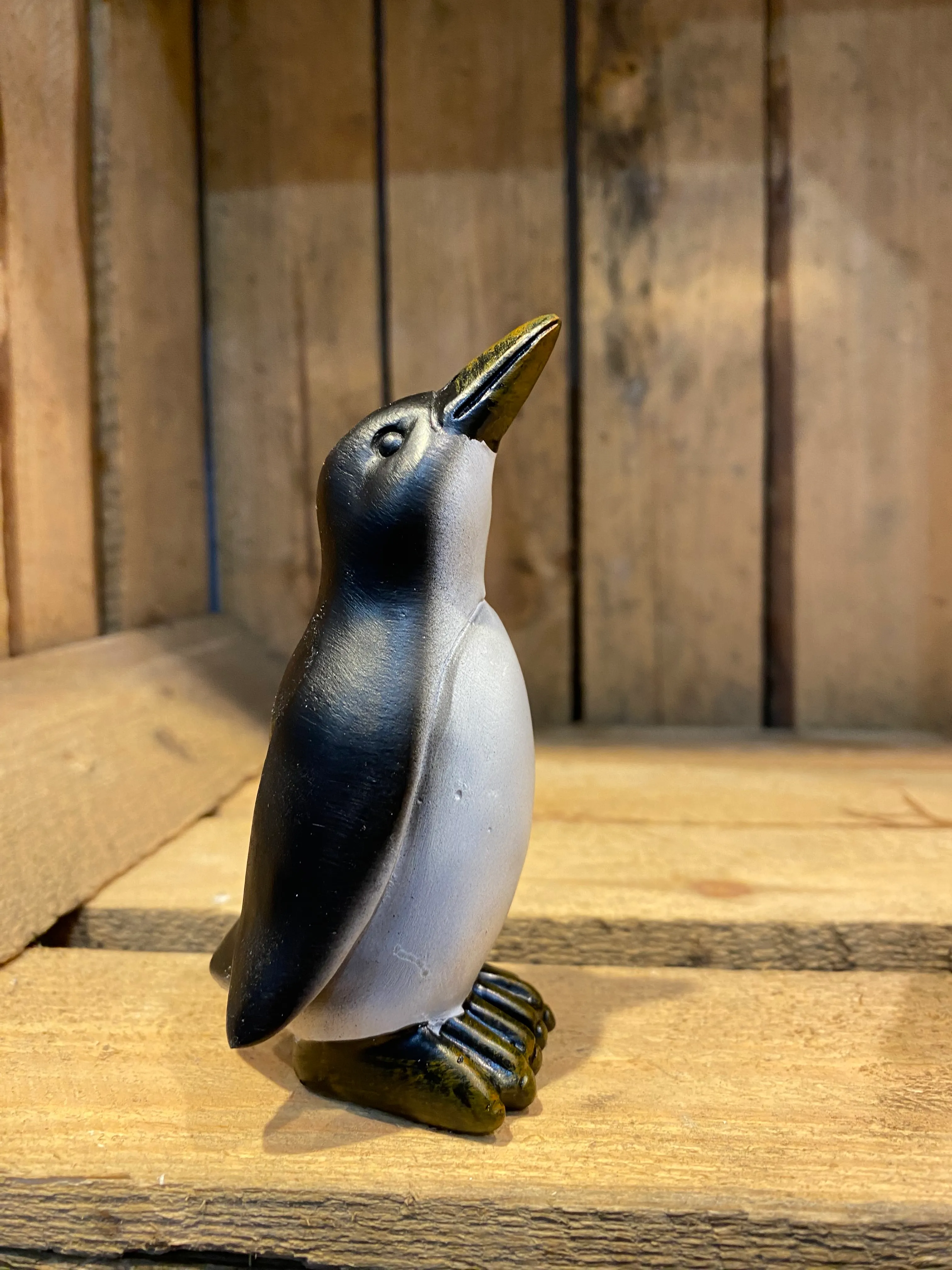 Miniature Cheeky Penguin Up