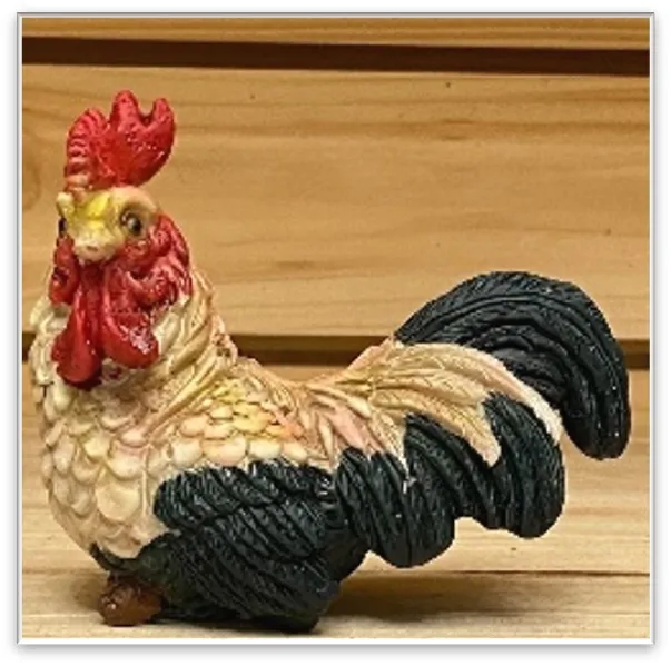 Miniature rooster Coloured