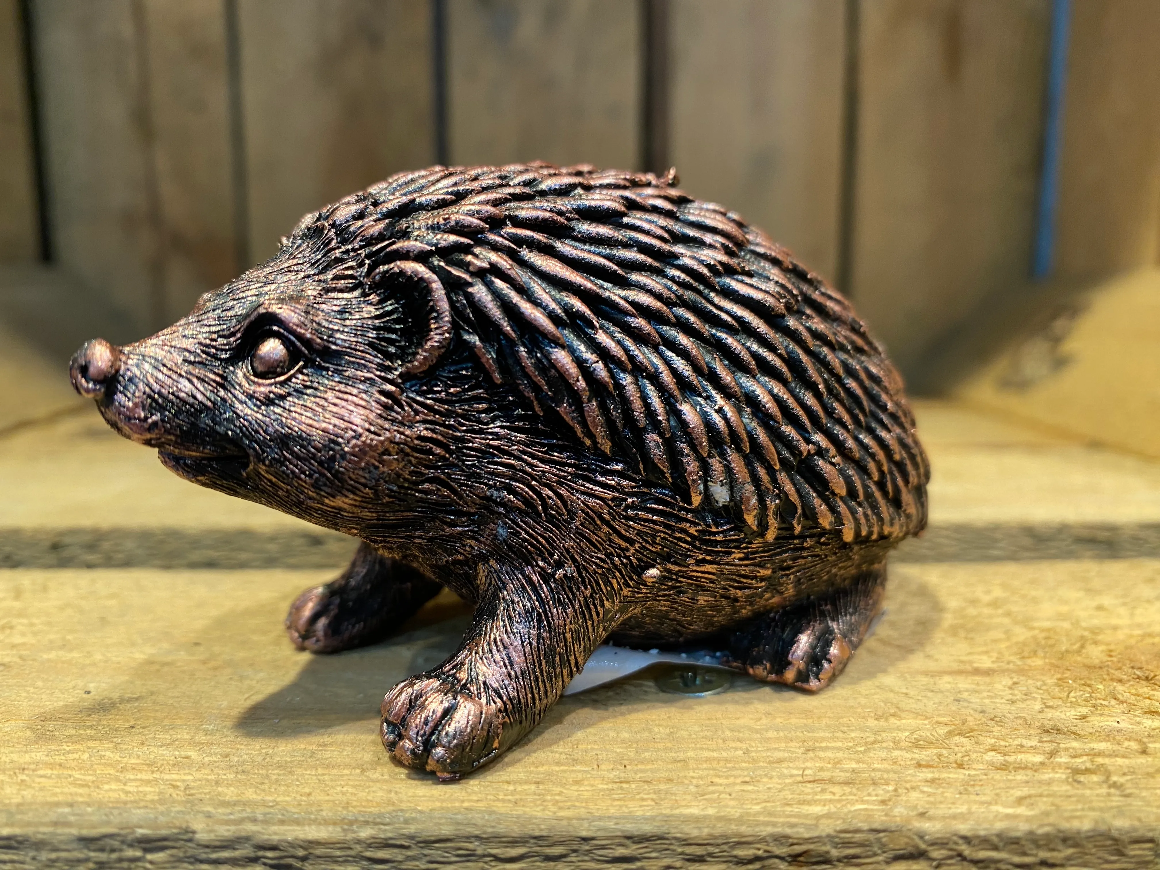 Miniature Hedgehog Bronze