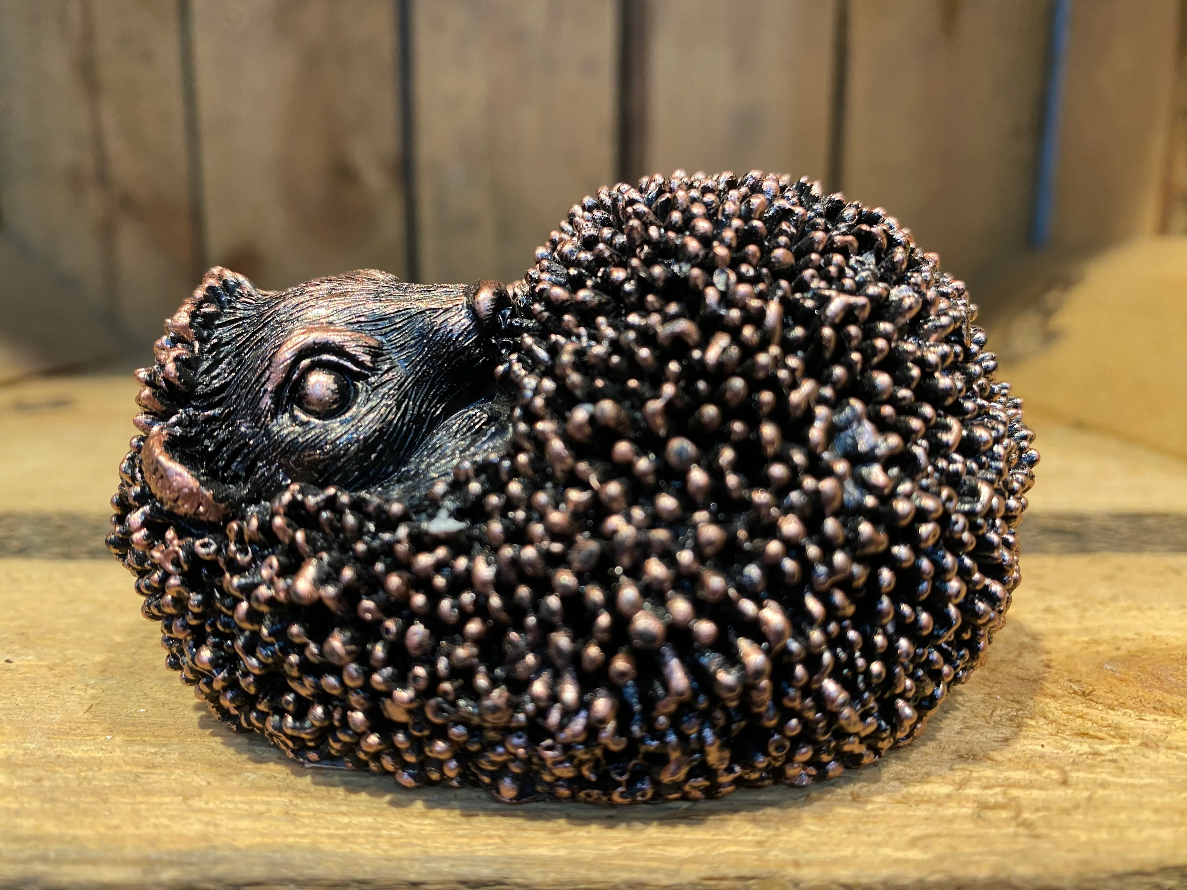 Miniature Baby Hedgehog Bronze