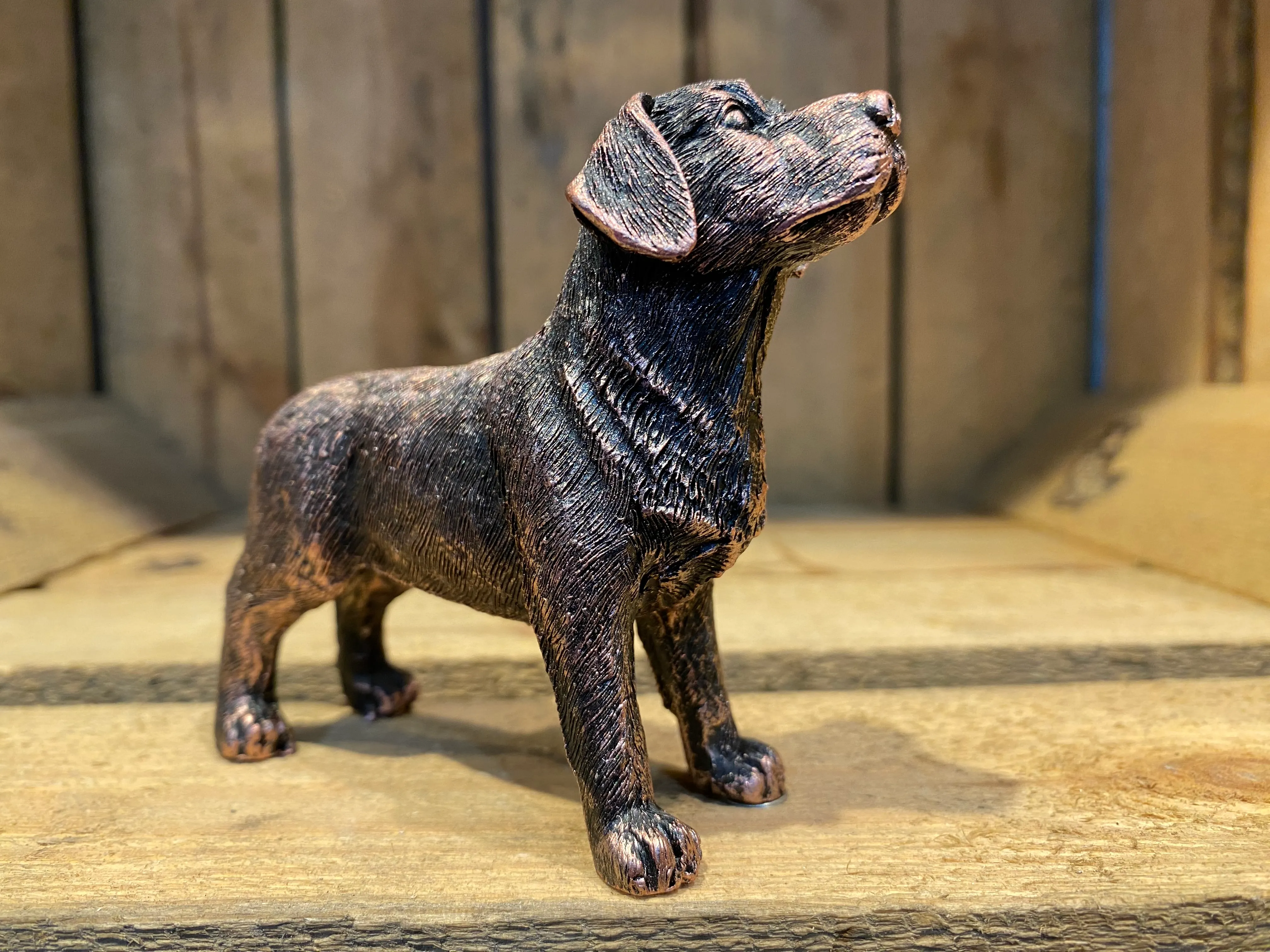 Miniature Labrador Bronze