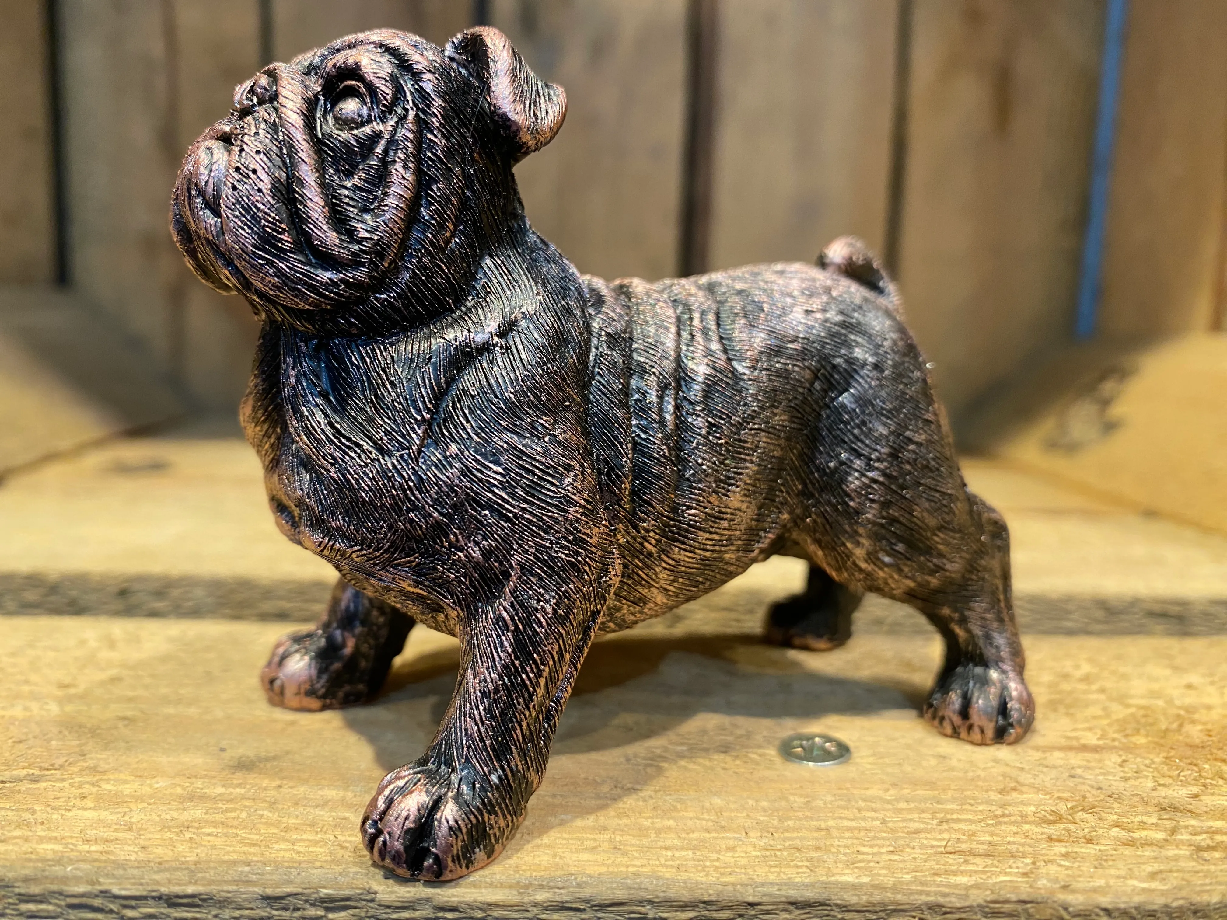 Miniature Bulldog Bronze