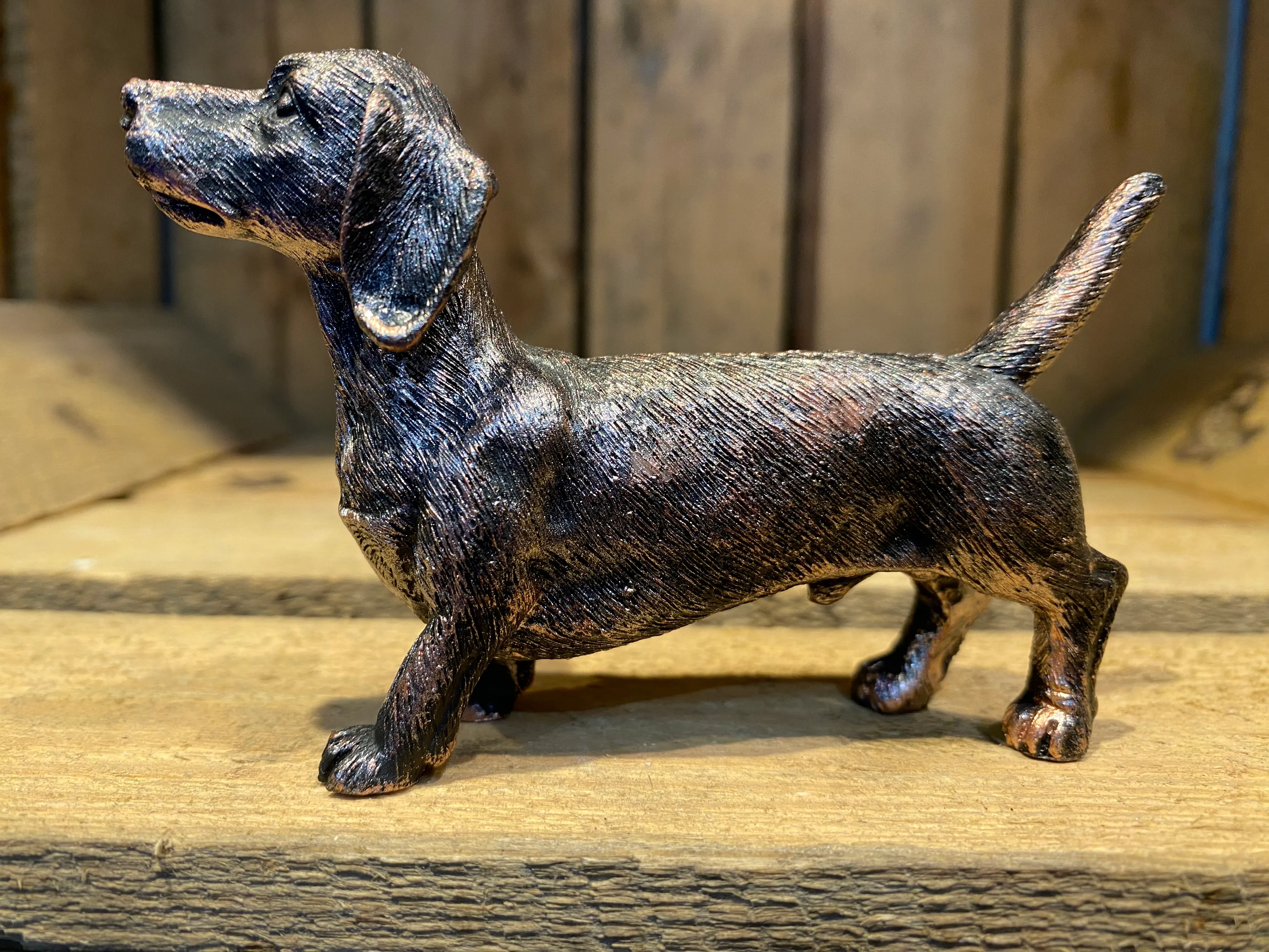 Miniature Dachshund Bronze