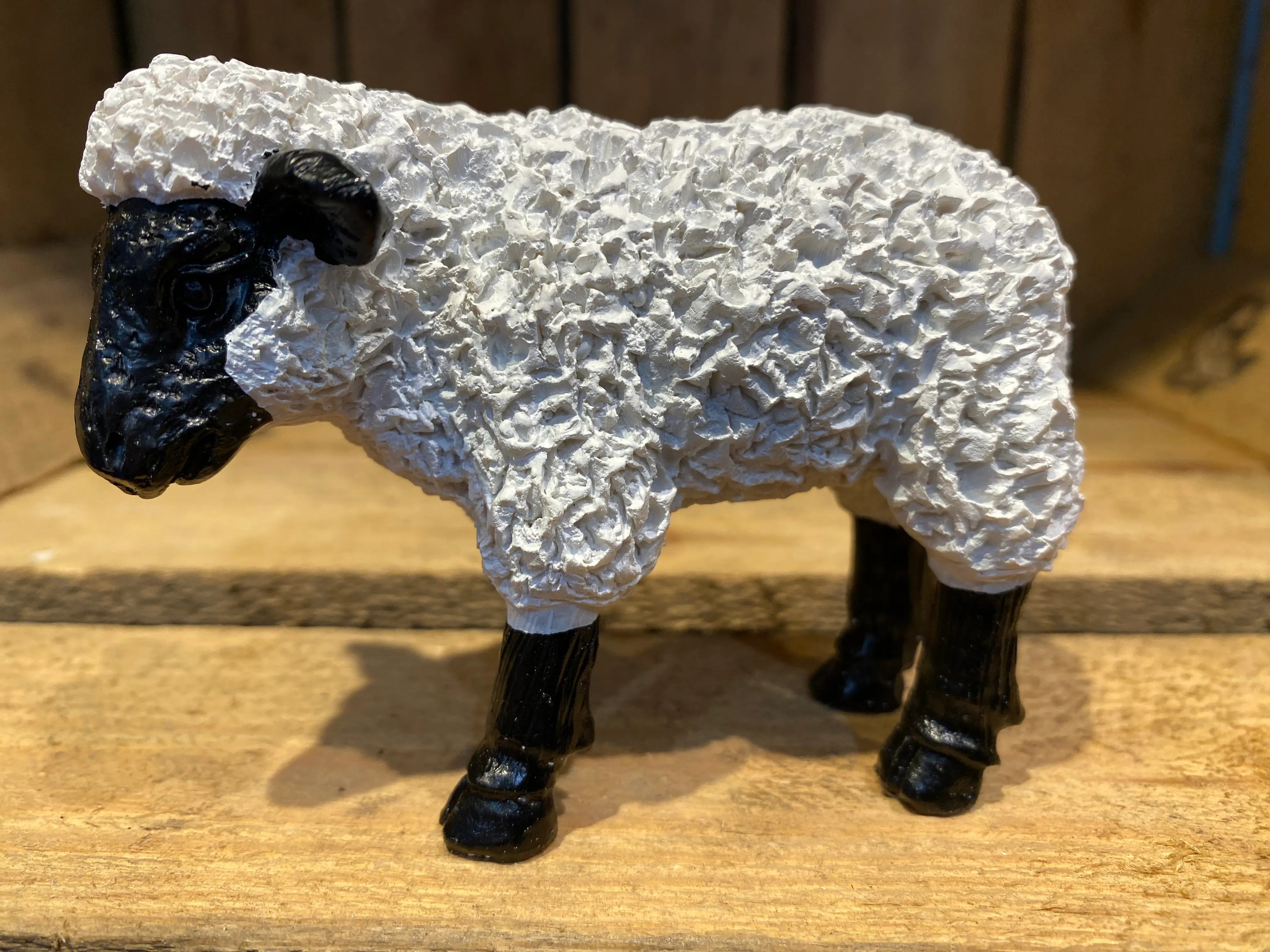 Miniature Sheep B/W Side