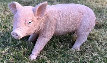 Cupcake the Piglet