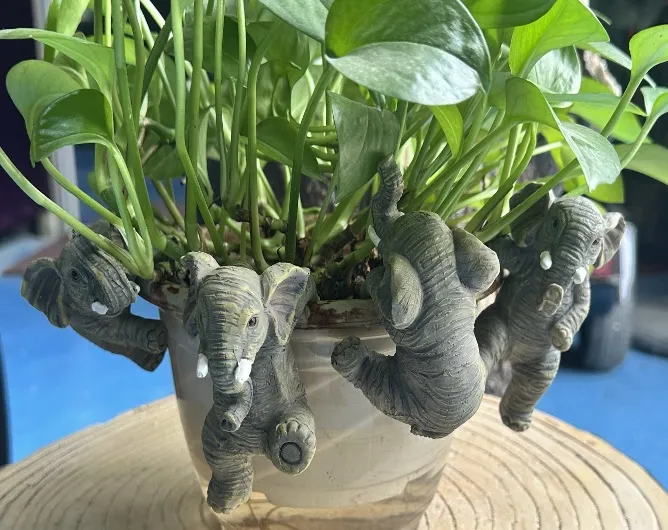 Elephant Pot Hangers - Coloured