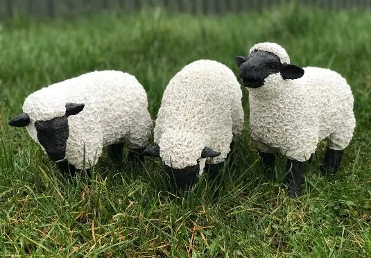 Black & white spiky sheep - up