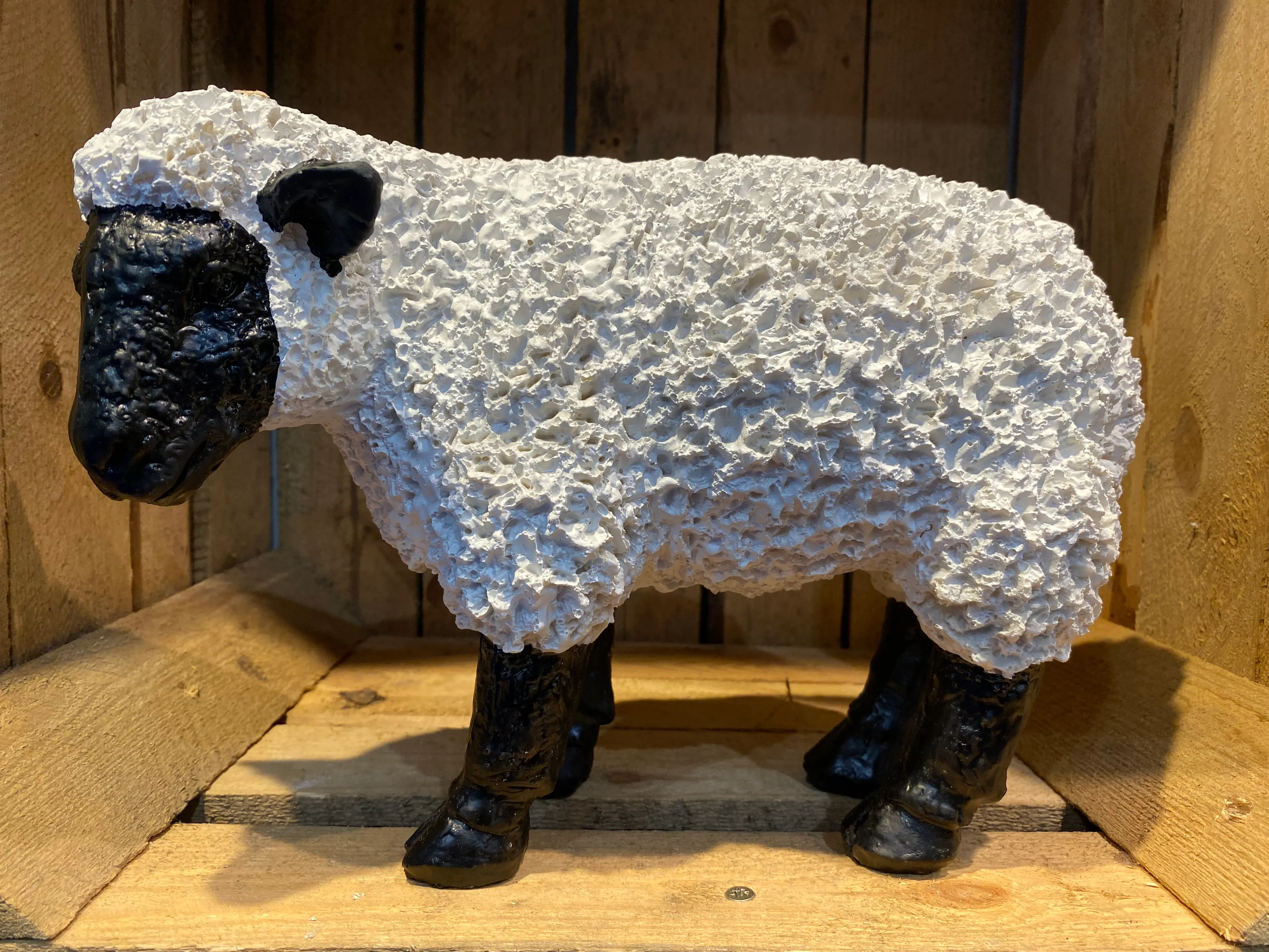 Black & white spiky sheep - side