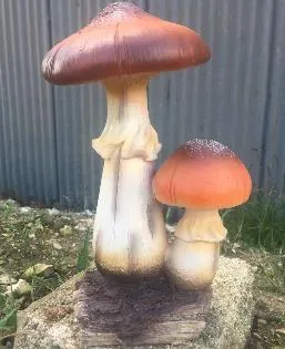 Classic fungi