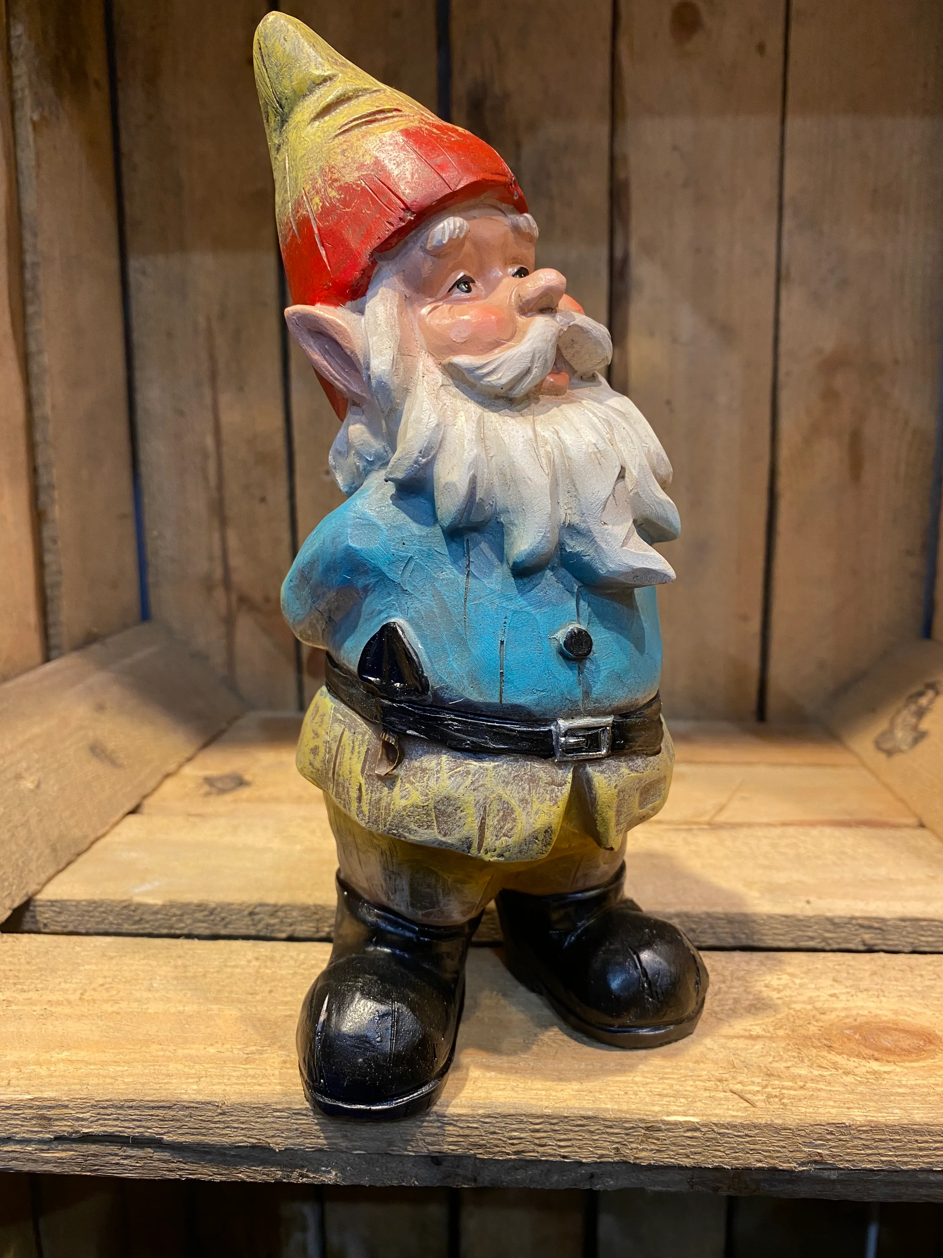 Curious Gnome 