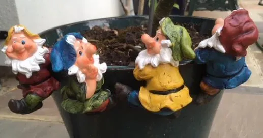 Perky pot gnomes