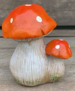 Red Spot Toadstool