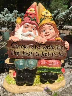 "Grow Old with me" Gnome pair