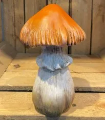 Forest Toadstool