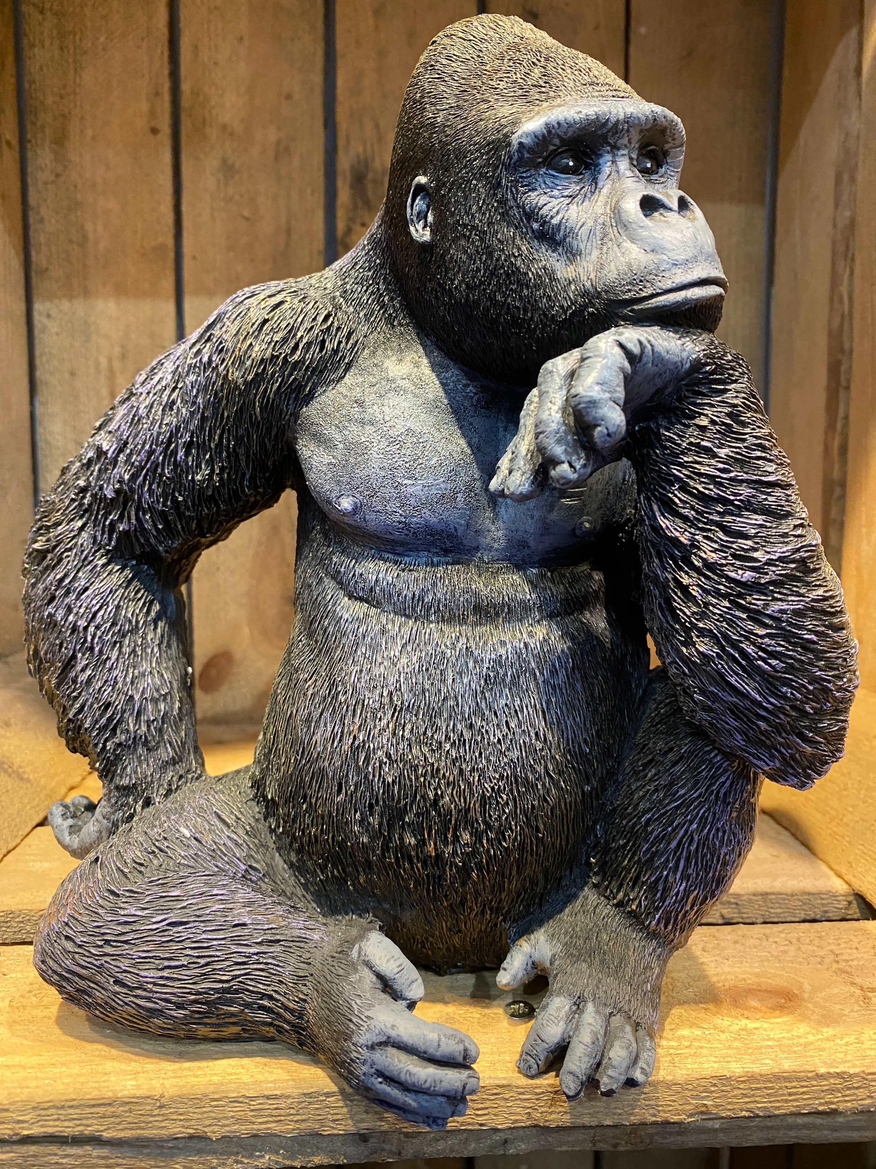 Gorilla Sitting